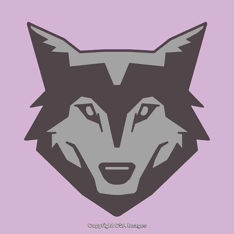 Stylized Gray Wolf Head Design with Pink Background