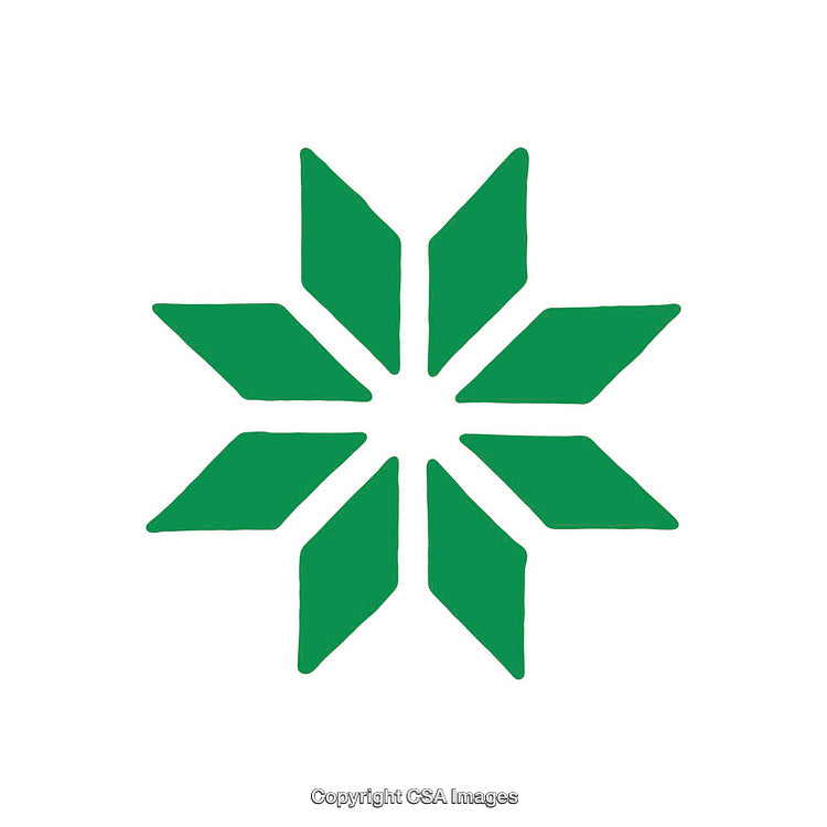 Green Eight-Pointed Geometric Star on a White Background