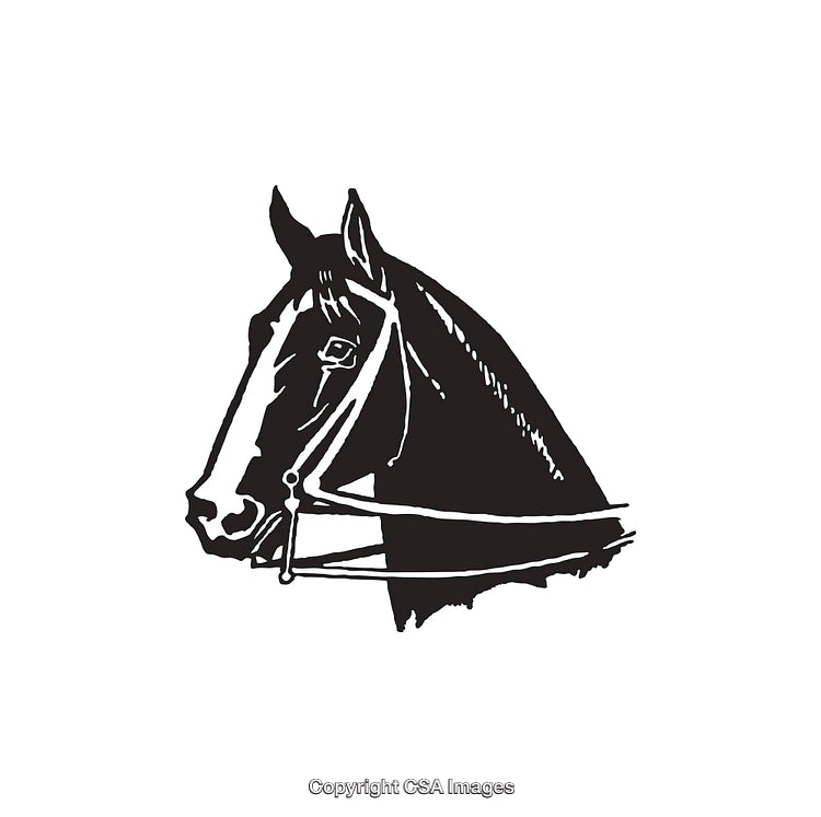 Elegant Black and White Line Art Illustration of a Horse Head