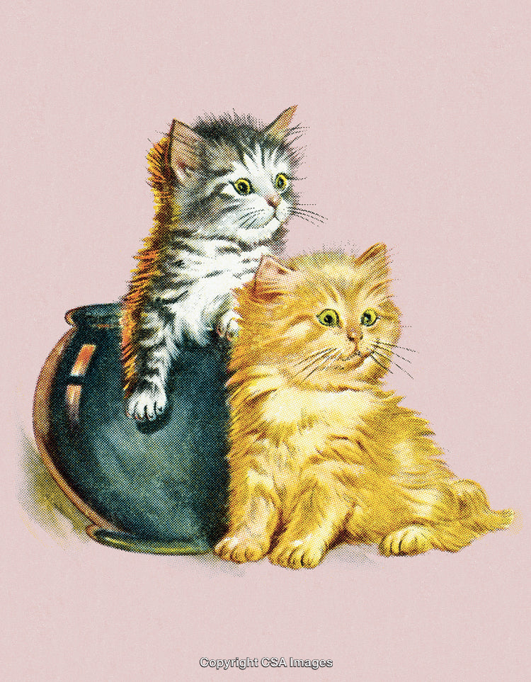 Two Cute Kittens Relaxing Together in a Whimsical Vintage Decoration