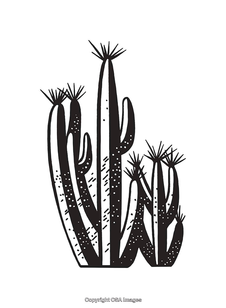 Black and White Cactus Illustration With Artistic Details and Desert Theme