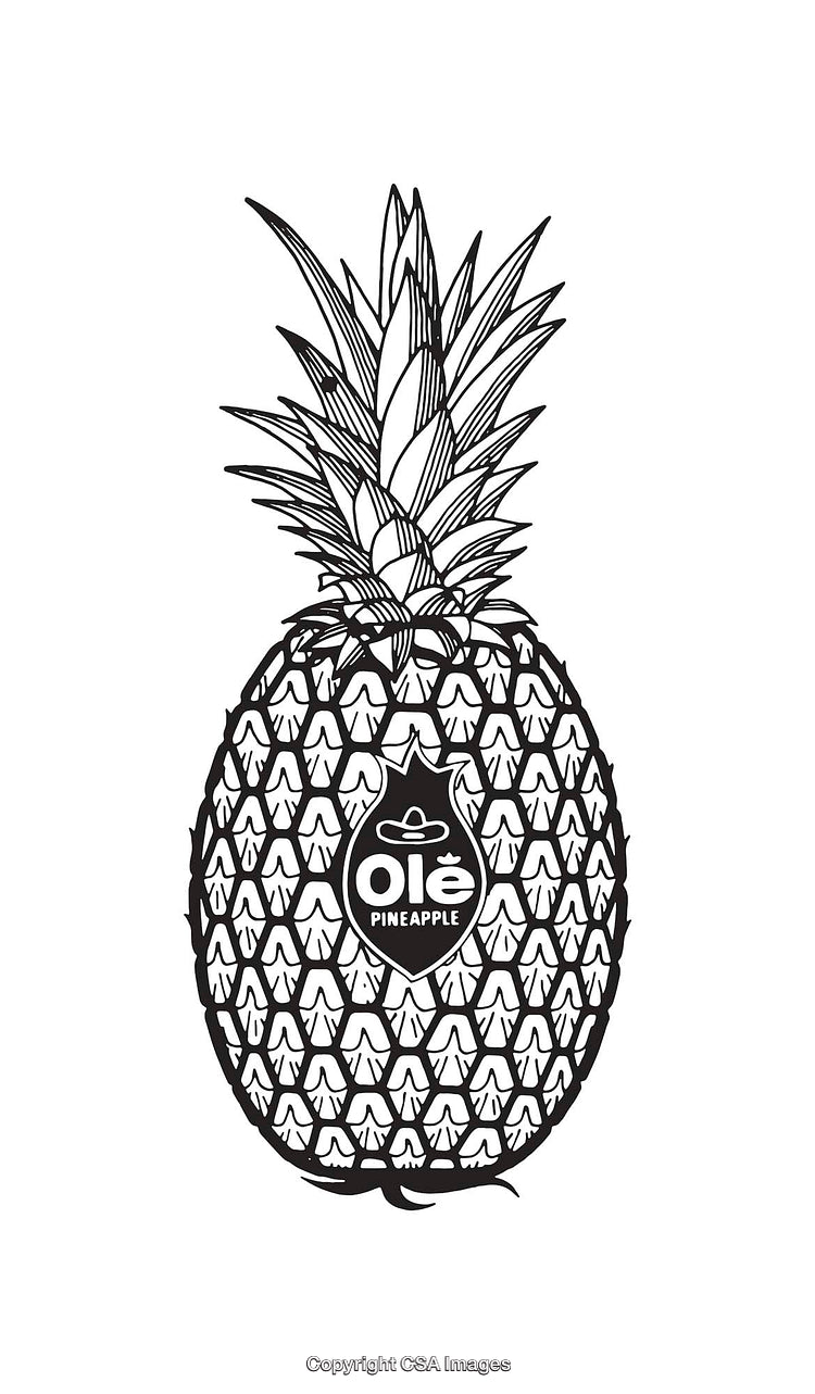 Detailed Black and White Pineapple Line Art Illustration with Text Overlay