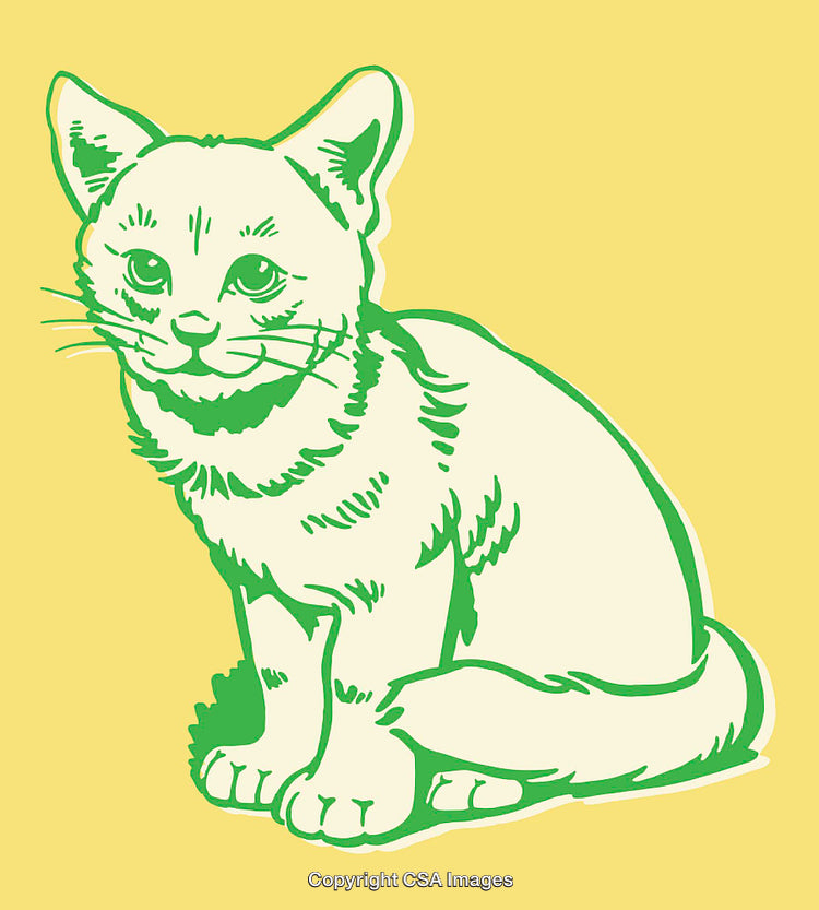 Colorful Line Art Illustration of a Sitting Cat in Green and Yellow