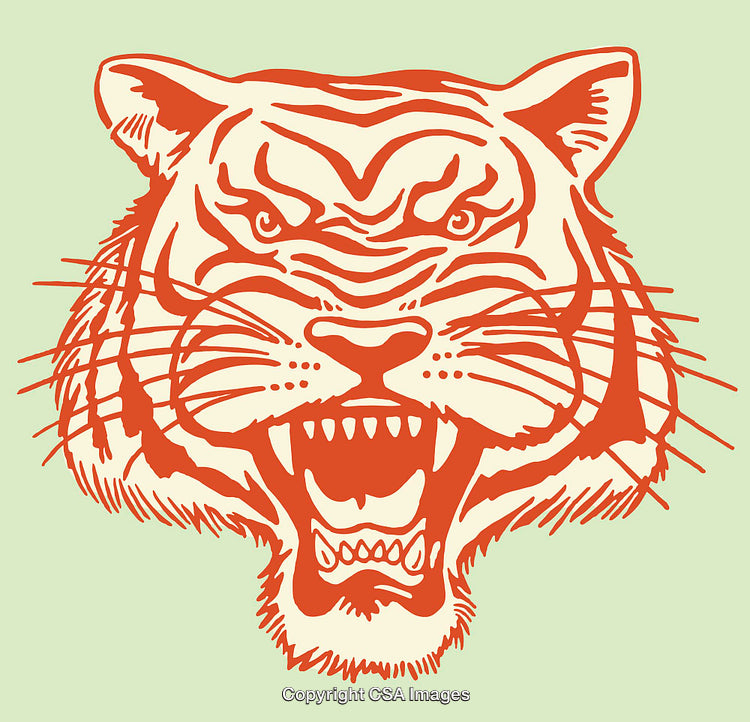 Fierce Tiger Illustration in Bold Orange Line Art on Light Green Background