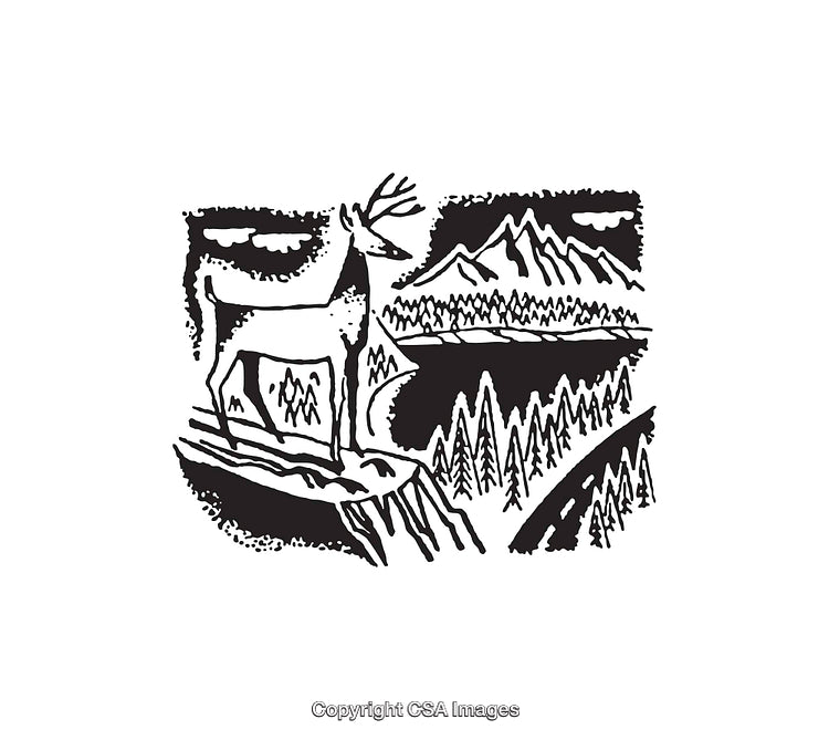 Black and White Line Art Illustration of a Deer in Forest