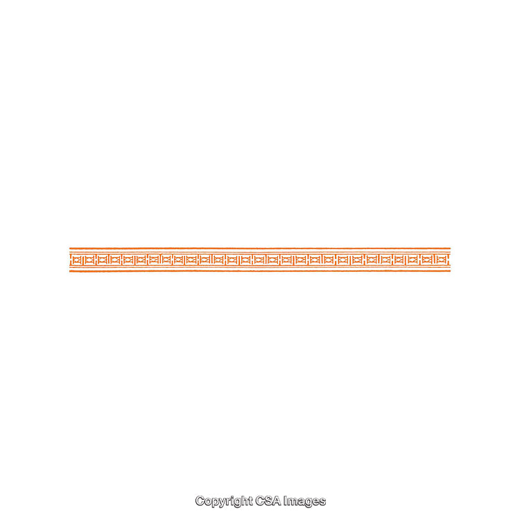 Ornamental Orange Patterned Border with Intricate Square Design Details