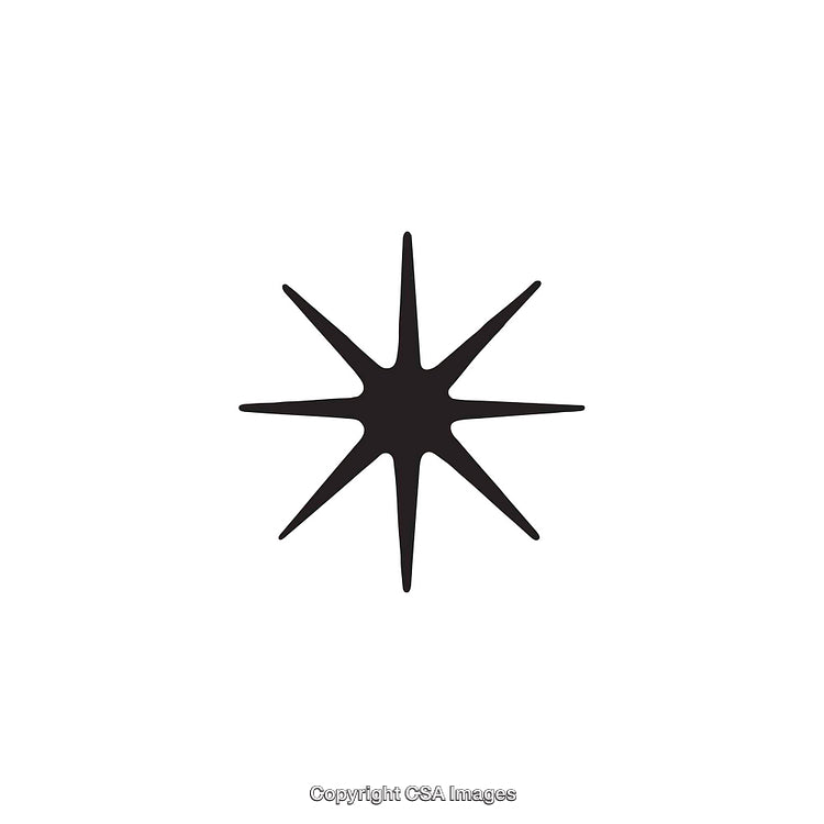 Black Eight-Pointed Dingbat Shape on a White Background