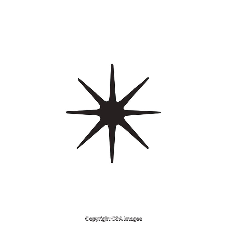Black Eight-Pointed Dingbat Shape on a White Background