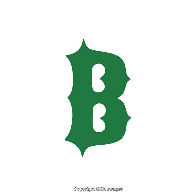 Green Decorative Letter B Symbol on White Background
