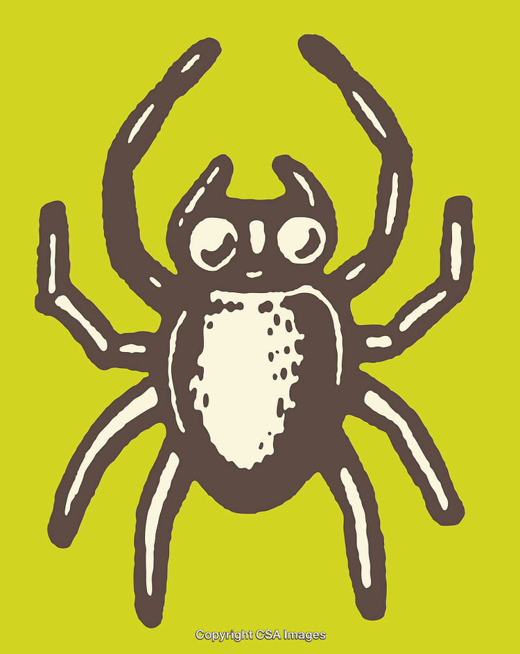 Colorful Line Art Illustration of a Spider on a Bright Background