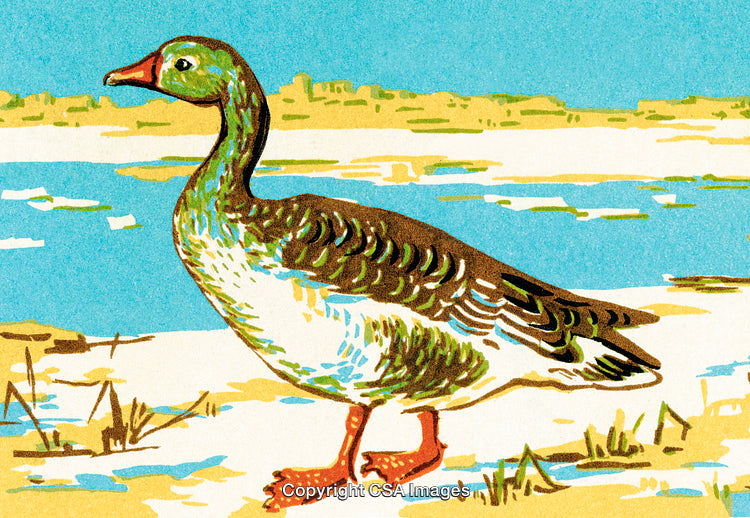 Illustrated Goose by a Scenic Water Area in a Bright Artistic Style