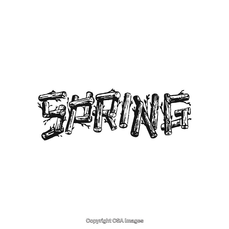Rustic Spring Text With Branches and Twigs on a Clean White Background