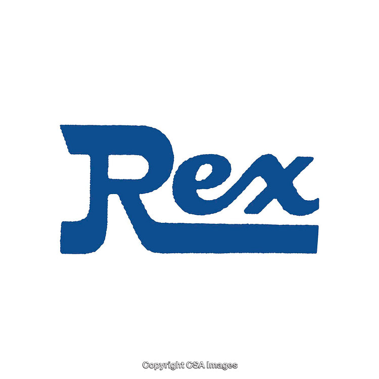 Blue Stylized Rex Typographic Logo Design on White Background