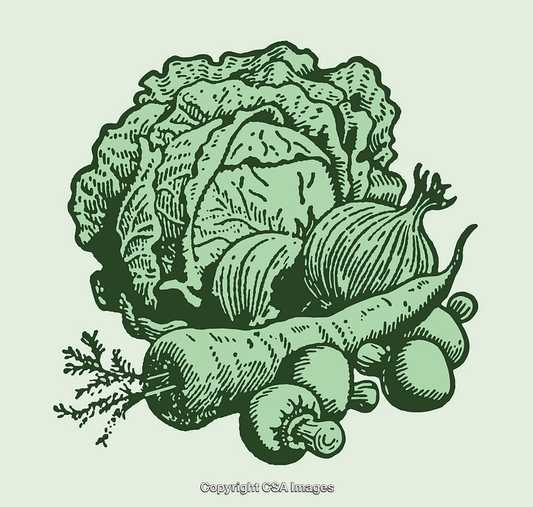 Vintage Line Art Illustration of Vegetables on Green Background