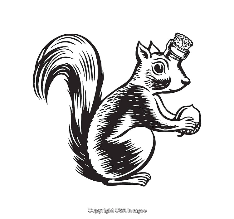 Black and White Line Art Illustration of Squirrel with Acorn and Hat