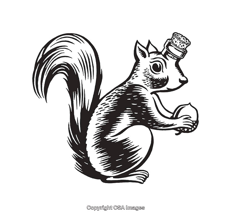 Black and White Line Art Illustration of Squirrel with Acorn and Hat