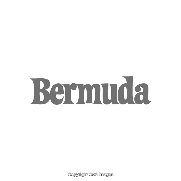 Bermuda Text in Stylish Font on a White Background