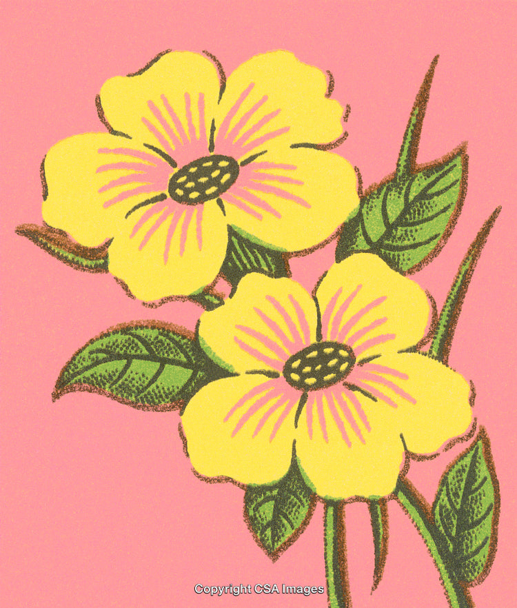 Yellow Illustrated Flowers on Pink Background with Green Leaves Decoration