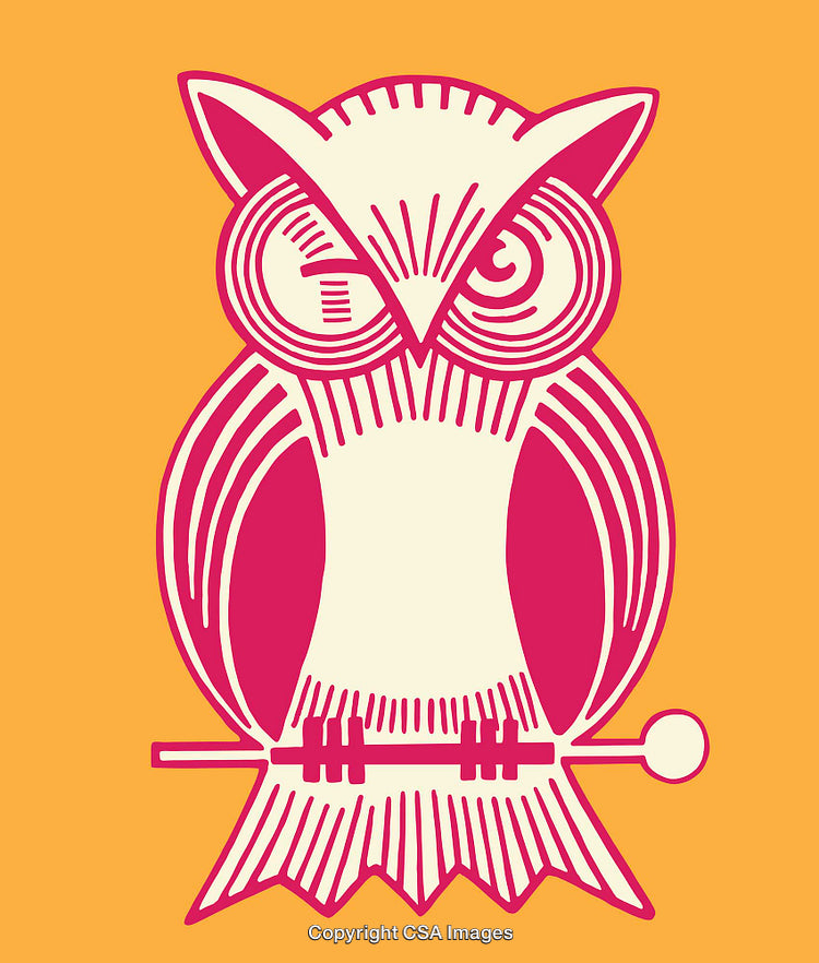 Colorful Modern Line Art Illustration of an Owl on an Orange Background