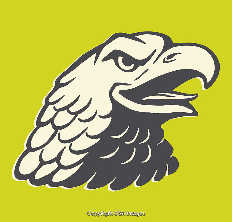 Stylized Bold Eagle Illustration with Vibrant Colors and Dynamic Expression