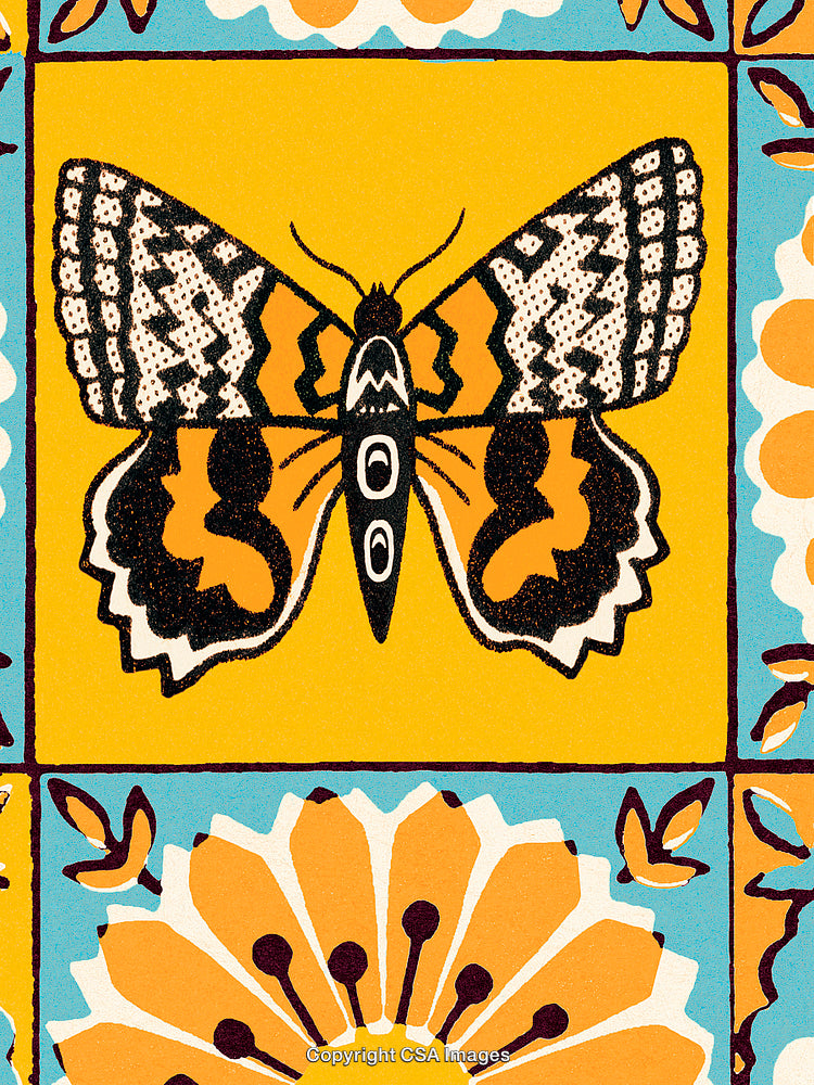 Colorful Butterfly Illustration on Decorative Floral Patterned Background