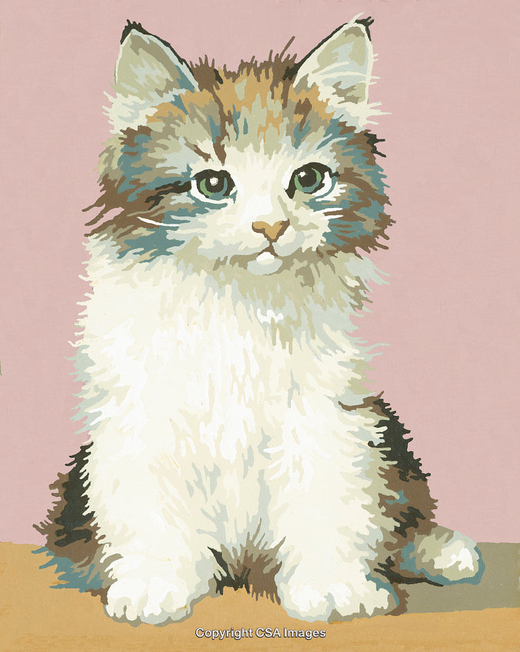 Illustration of a Fluffy Kitten in Paint by Numbers Style Artwork