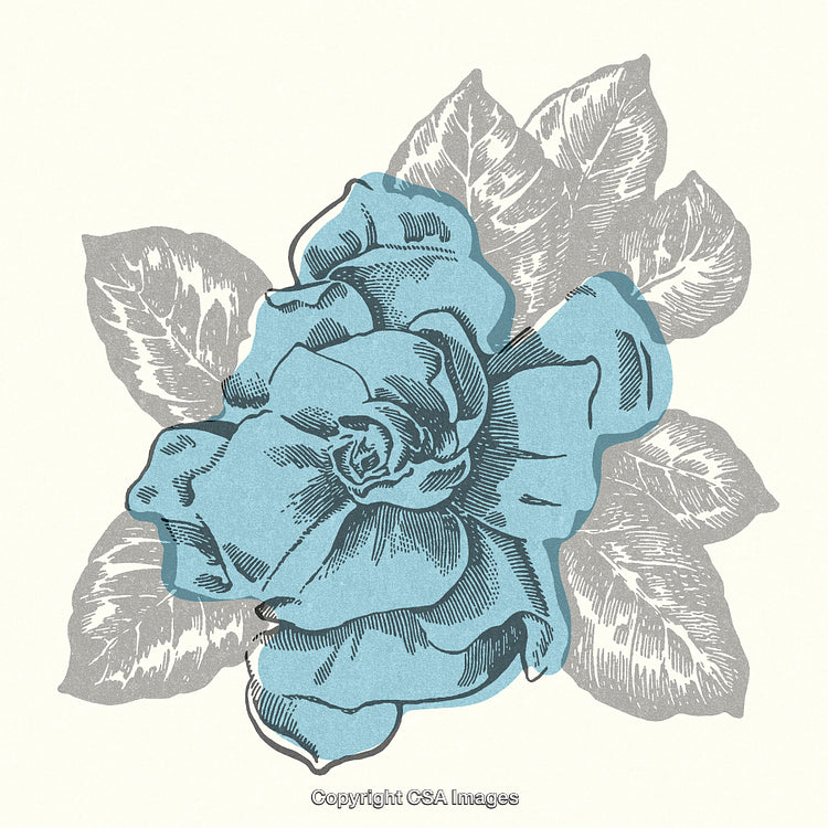 Vintage Style Blue Flower Illustration with Intricate Detail and Decorative Leaves