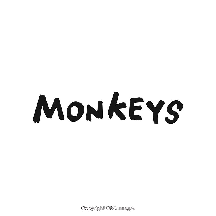 Handwritten Black Brush Script Illustrating the Word Monkeys on a White Background