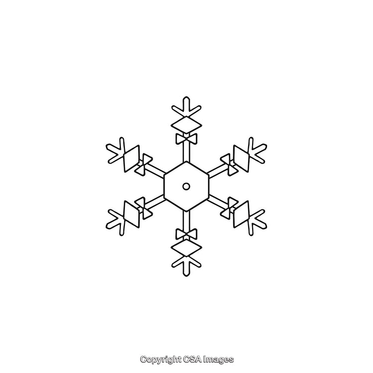 Black and White Line Art Snowflake Icon with Geometric Details