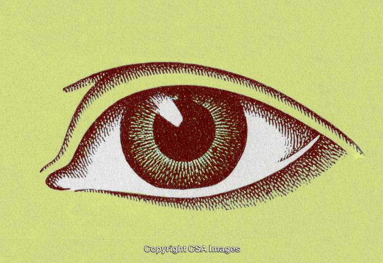 Vintage Illustration of a Single Eye in Detailed Artistic Design