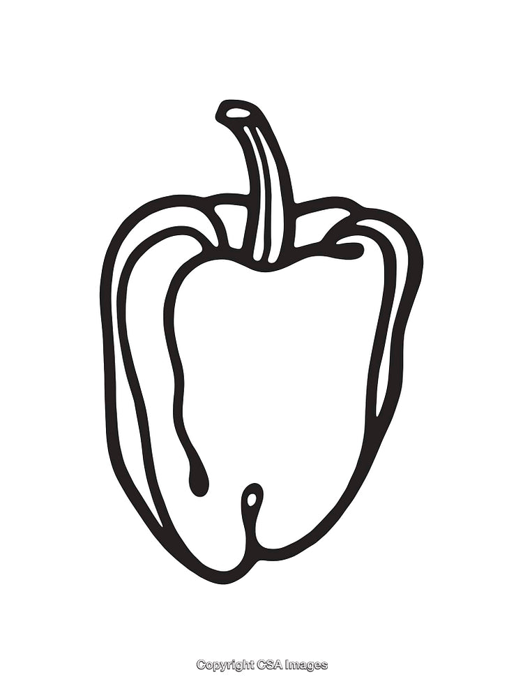 Black and White Line Art Illustration of a Bell Pepper