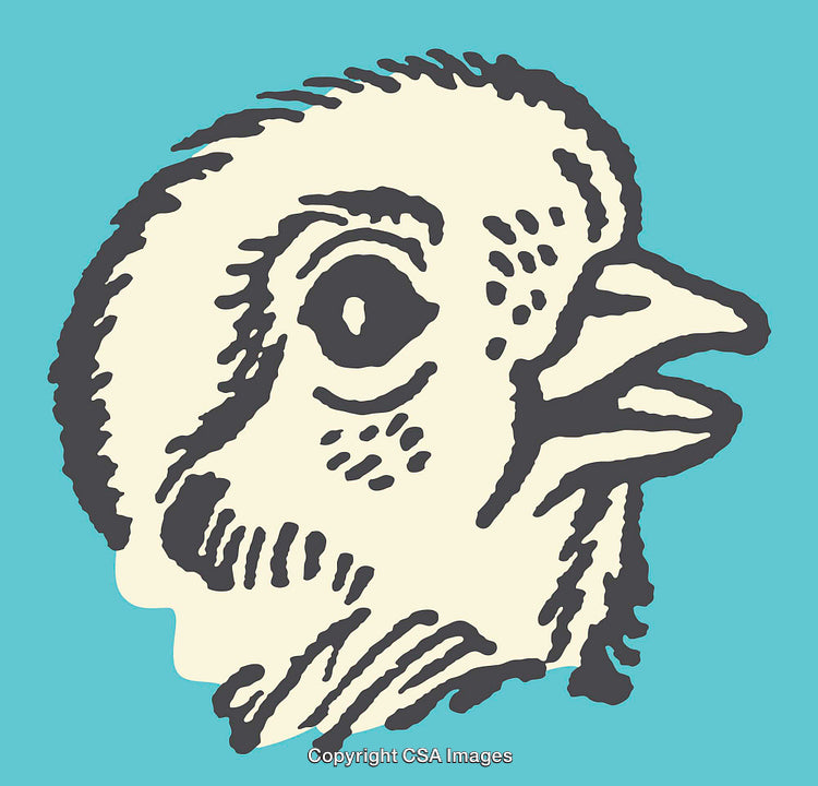 Colorful Line Art Depiction of a Bird Head Illustration