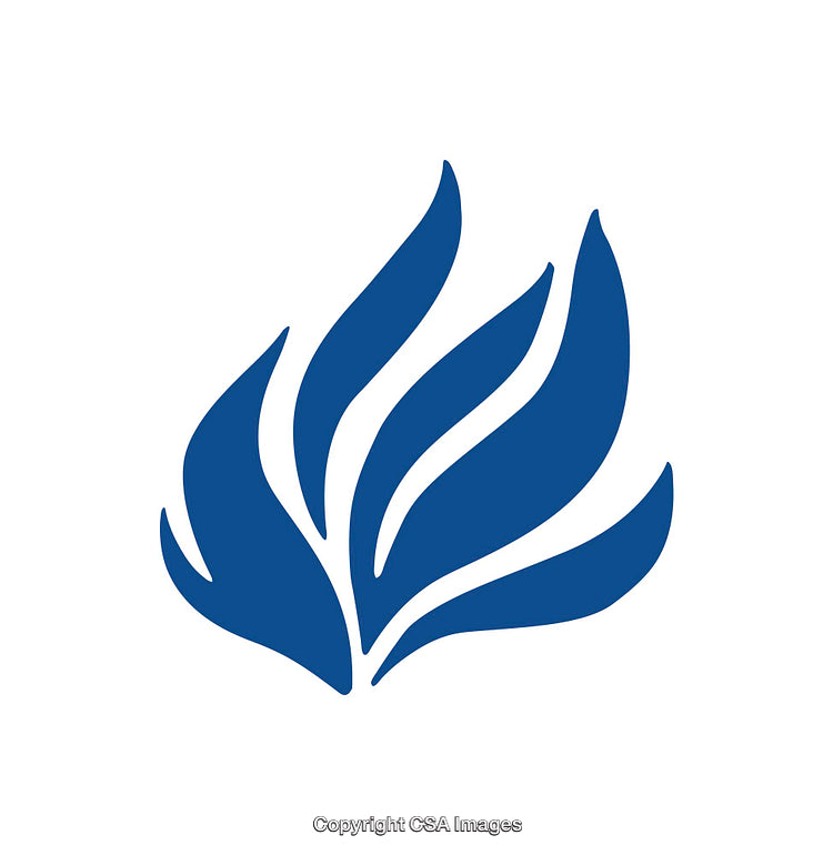 Blue Abstract Flame Shaped Icon Design on White Background
