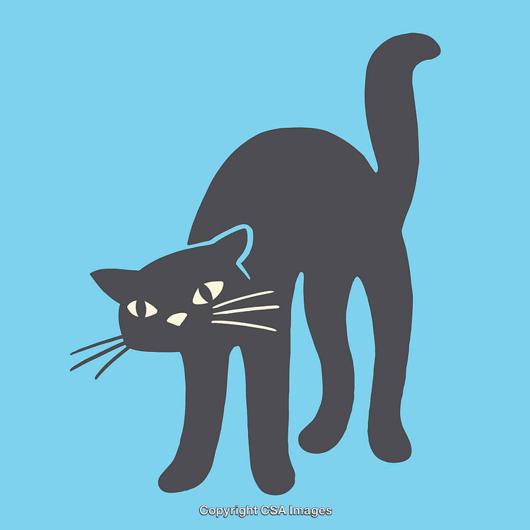 Black Cat Line Art Illustration on a Blue Background