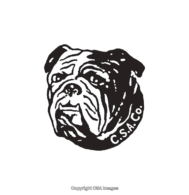 Black And White Artwork of a Bulldog Illustration with Detailed Features