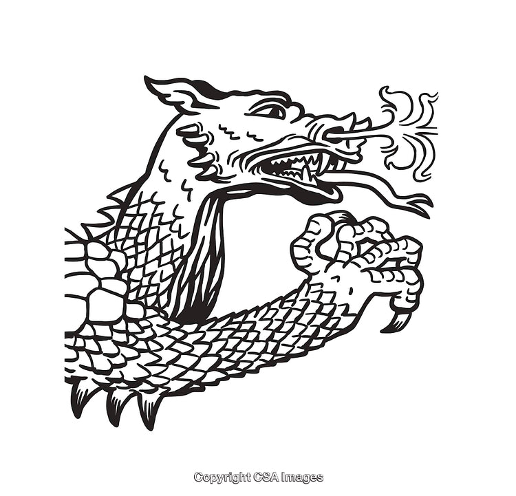 Black and White Dragon Line Art Illustration in Intricate Style