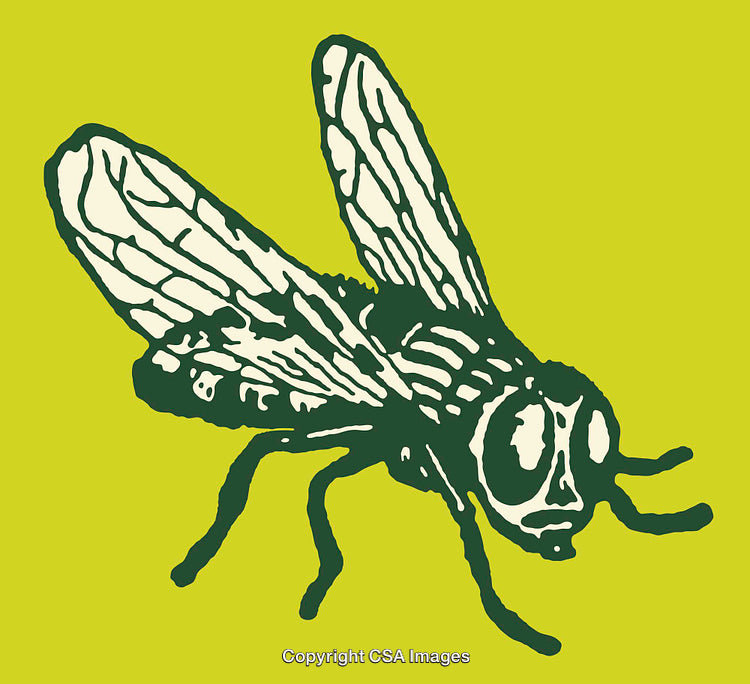 Green And Yellow Illustration of a Fly with Abstract Line Art Style