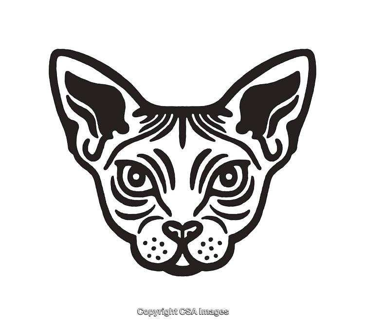 Black and White Line Art of a Cat Face with Fine Details