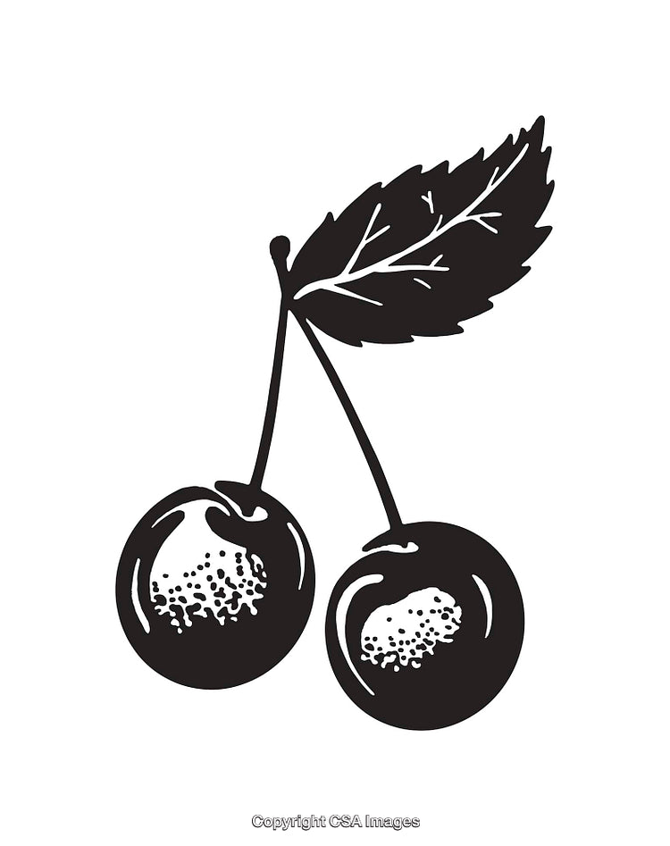 Black and White Cherry Illustration with Leaf Detailing in Line Art Style