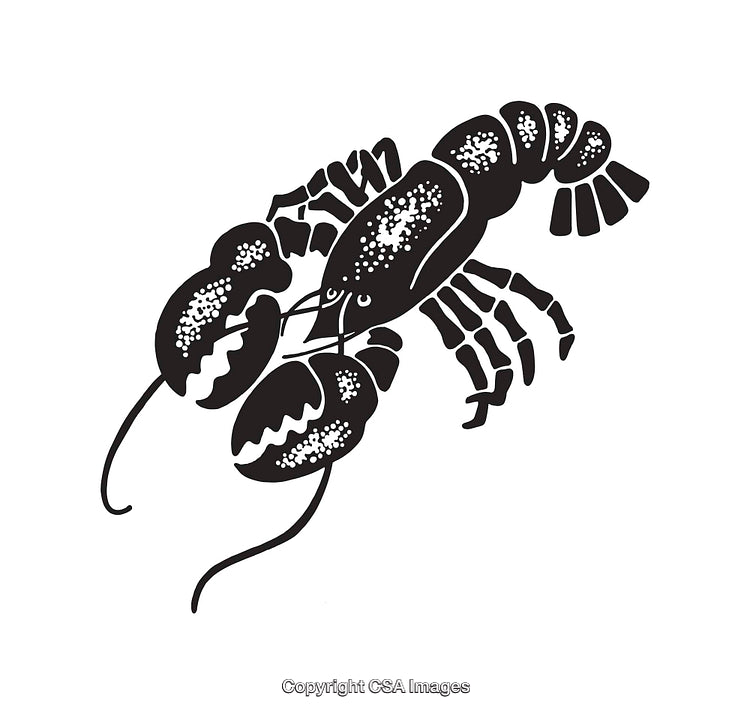 Black and White Lobster Line Art Illustration with Detailed Design