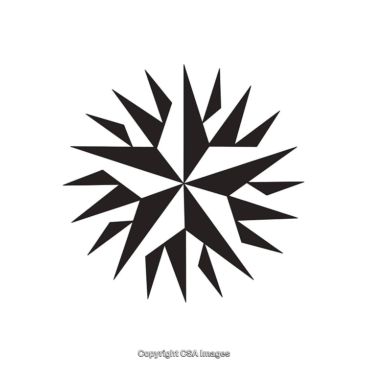 Abstract Black and White Geometric Starburst Dingbat Design