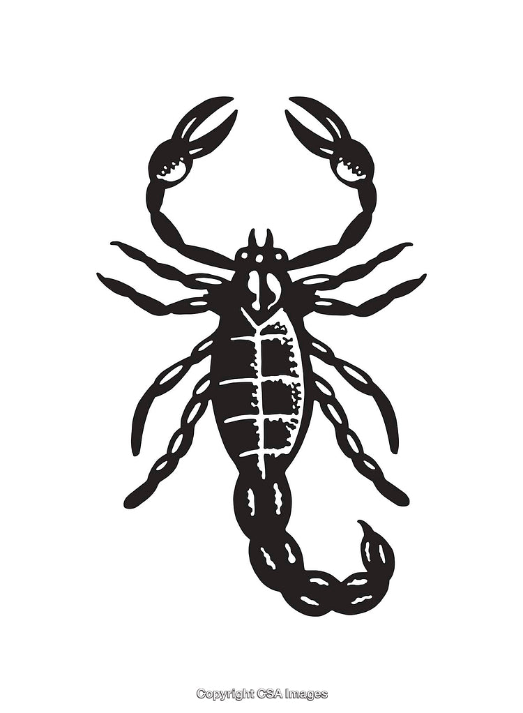 Black and White Illustration of a Scorpion in Line Art Style