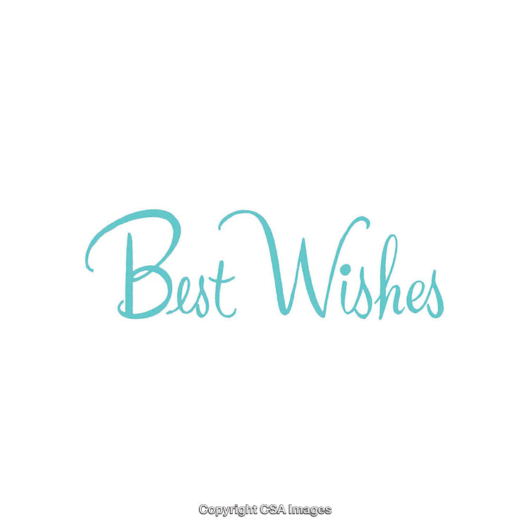 Elegant Script Design Featuring 'Best Wishes' in Bright Turquoise Font