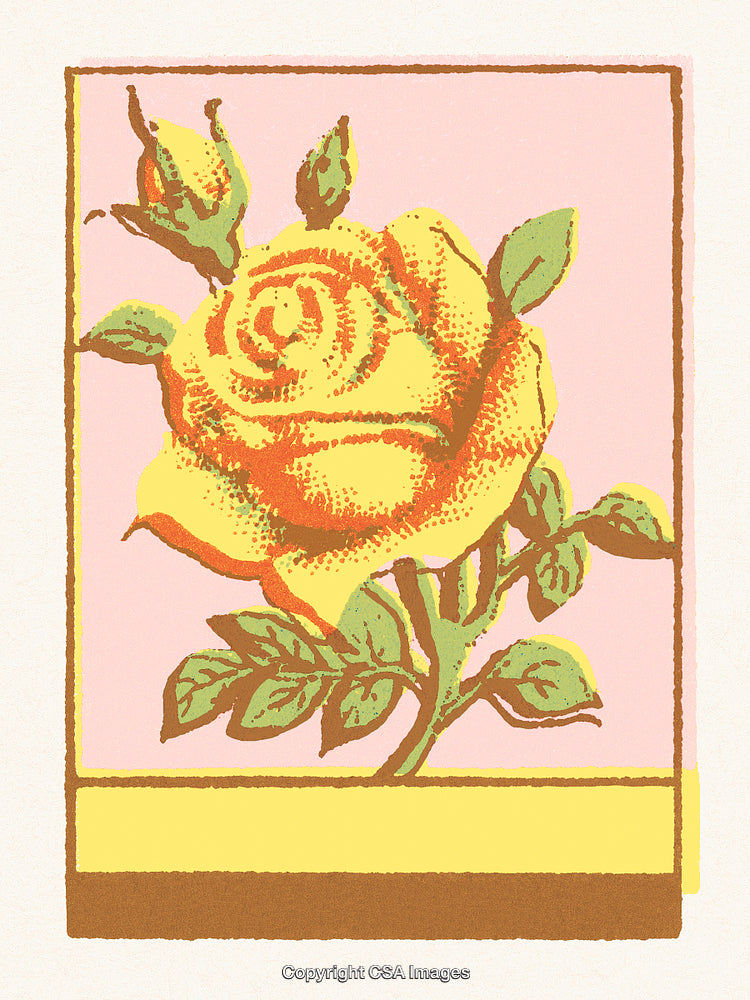 Vibrant Yellow Rose Illustration With Green Leaves and Pink Background