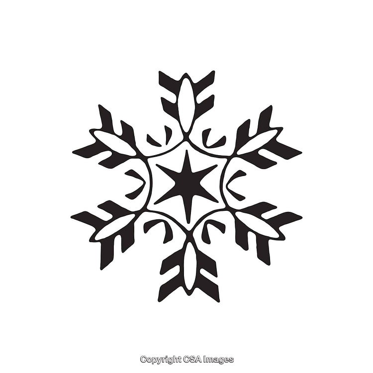 Elegant Black and White Snowflake Design with Symmetrical Details
