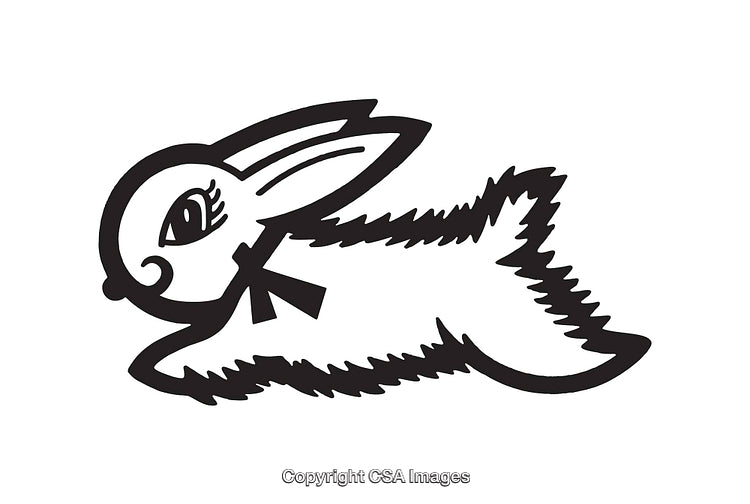 Black and White Illustration of a Cute Stylized Bunny