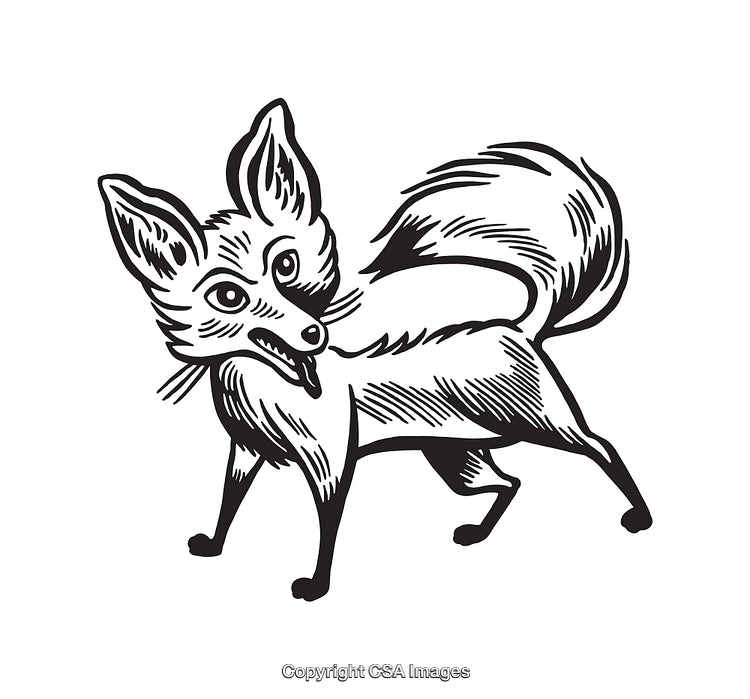 Black and White Line Art Fox Illustration With Intricate Details