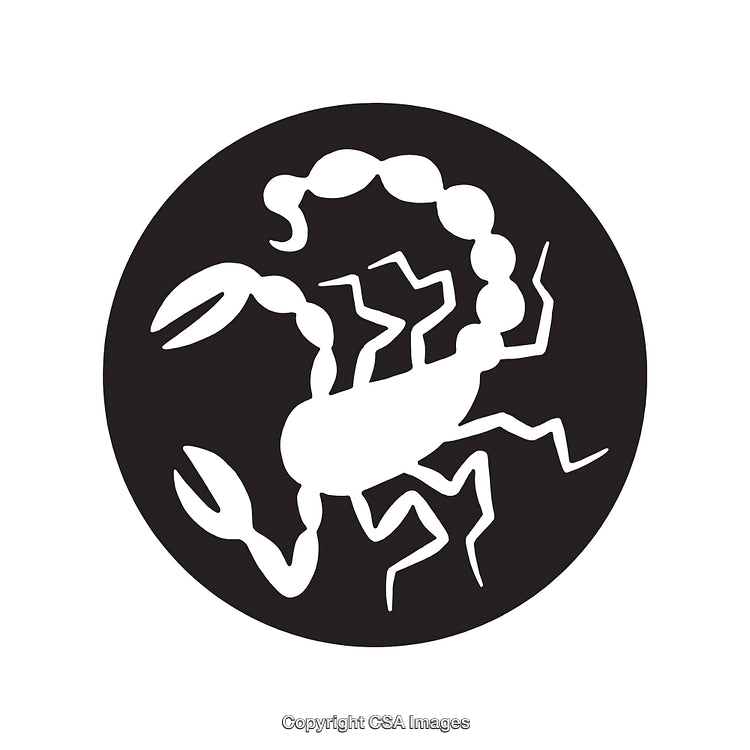 Black And White Scorpion Icon Symbolizing Zodiac Scorpio