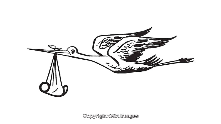 Black and White Illustration of a Stork Carrying a Baby Bundle