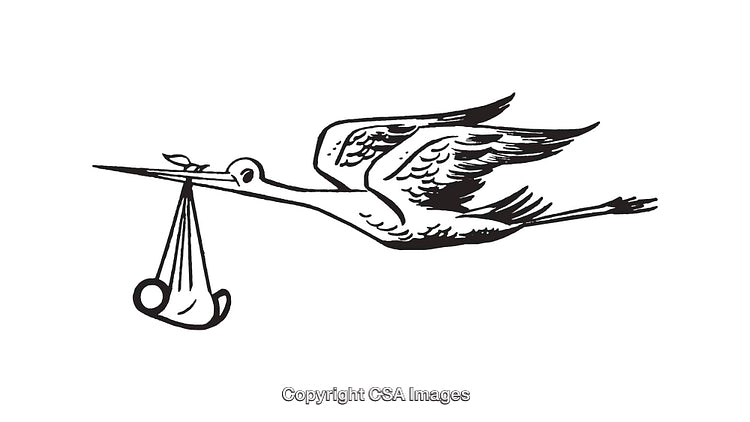 Black and White Illustration of a Stork Carrying a Baby Bundle